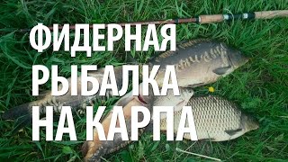 ЛОВЛЯ на ФИДЕР КАРПА - ПЛАТНАЯ РЫБАЛКА с НОРМУНДОМ ГРАБОВСКИСОМ