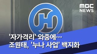 '자가격리' 와중에…조원태, '누나 사업' 백지화 (2020.02.07/뉴스투데이/MBC)