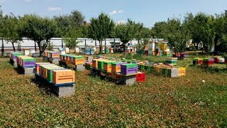 Работа с нуклеусом из пенополистирола - Денис Фадеев / Семинар в Днепре /