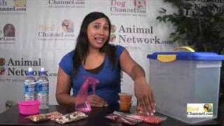 Make a Bird Disaster Kit - BirdChannel.com