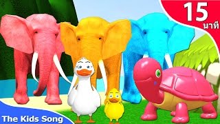 เพลงเต่า เป็ด ช้าง ลิง เพลงเด็กอนุบาล 15 นาที - The Kids Song