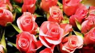 RICHARD CLAYDERMAN - Les Regrets