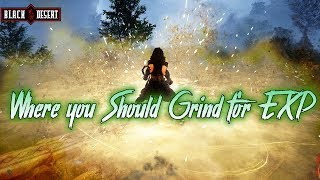 BDO - Where you Should Grind for EXP
