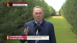 Астана маңындағы орман алқабы 75 мың гектарға жеткен