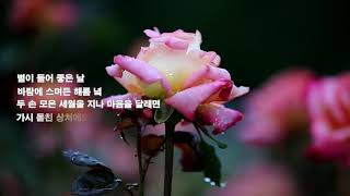 제8회 7월 현대시선 문학사 밴드 베스트 장원 이용식_낭송 김상희 편집 윤기영