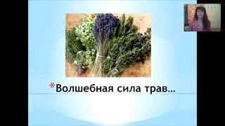Левонюк. Магия трав. Секреты травниц-обавниц