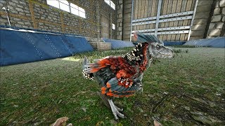 ARK:Valguero + SteamPunk #13 Варим киблы, выращиваем дино.
