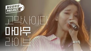 [월요병예방] 고막 사이다 마마무 라이브로 시원하게! l #피크닉라이브소풍