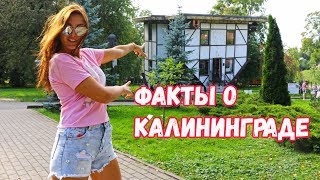 Интересные факты о Калининграде