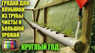 ГРЯДКА ДЛЯ КЛУБНИКИ ИЗ ТРУБЫ БОЛЬШОЙ И ЧИСТЫЙ УРОЖАЙ КРУГЛЫЙ ГОД