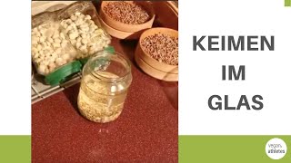 Keimen im Glas | Sprossen selber ziehen - das richtige Equipment