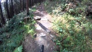 Y Wal "the Wall" Afan Argoed, Wales Downhill mountain biking. The 3 Final decents on the wall Gopro