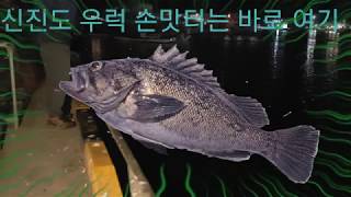 우럭낚시, 광어낚시#14  신진도 우럭낚시 손맛터 전격공개