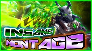 PRO ANDROXUS !! INSANE MONTAGE - PALADINS