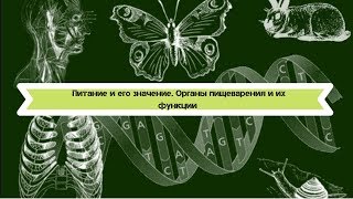 Биология 8 класс $24 Питание и его значение. Органы пищеварения и их функции