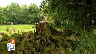 Itinéraire Bretagne - Le Village de l'An Mil à Melrand et le Blavet à St-Nicolas des Eaux et Bieuzy