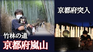 【京都府嵐山】無料でペットと観光旅行できるおすすめスポット【名所穴場】