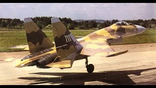 Russian Su-37 vs F-22 Raptor / Су-37 против F-22