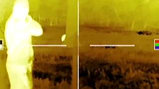 Thermal Hunting Hogs and Coyotes