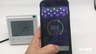 Hotowell  Voice control Alexa support Wifi Thermostat HTW HT03 Series