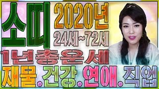 ?2020년 경자년 소띠운세? 24세~72세 나이별 신년운세] 종합운세 나이별로 팩트정리 연애운/직장운/사업운/재물운/인간관계/문서운/금전운 울산점집 경남점집 호국당 신년운세