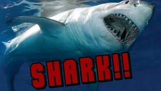 GTA V (5) - Shark!!! (Live Commentary + LIVE REACTION!)