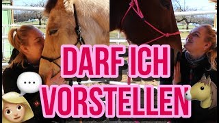 WER SIND WIR❓ || DARF ICH VORSTELLEN ? || Mein erstes eigenes Pferd || Lisa ˋs Horselife