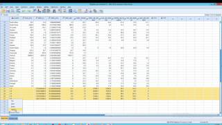 SPSS Statistics: Copy and Paste: Data and Variable Properties