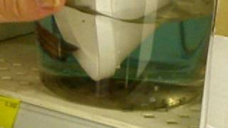 Walmart Fish Rescue Part 2