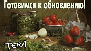 TERA online (RU) - Готовимся к 65 патчу!
