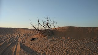 Сафари тур из Дубая в пустыню Руб-эль-Хали, ч. 3 | Safari Tour from Dubai to the Rub Al Khali Desert