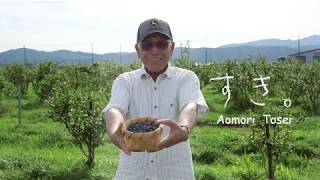そよ風ベリーハウス　森秀夫さん（蓬田村）