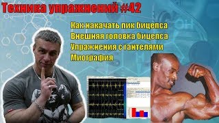 Как накачать пик бицепса. Внешняя головка бицепса. Упражнения с гантелями. Миография. Техника #42