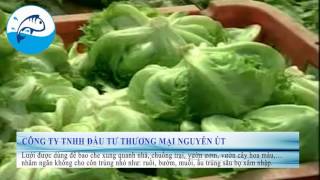 lưới mùng trồng rau