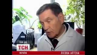 Чудо для диабетиков. Черничная паста для здоровья