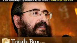 La Rancune Et La Vengeance - rav Yehia BENCHETRIT (Torah-Box.com)