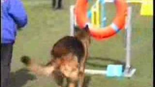 agility and what can go wrong