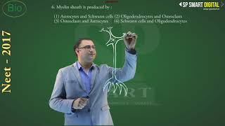 NEET 2017 BIOLOGY SOLUTIONS/SOLVED FULL in HINDI ||BY SP SMART||