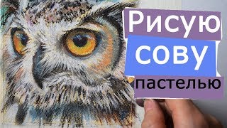 Рисую сову [как нарисовать сову пастелью] ??