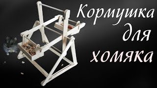 Как сделать кормушку для хомяка. Сделай сам своими руками из палочек от мороженого.