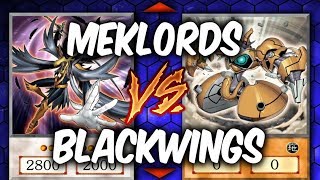 Yugioh BLACKWINGS vs MEKLORDS (Yu-gi-oh Deck Duel!)