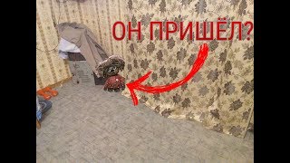 ВЫЗОВ ДУХОВ!!!ДОМОВОЙ У НАС ДОМА!!!МИСТИЧЕСКИЕ ОХОТНИКИ #1!!!(РАЗОБЛАЧЕНИЕ)