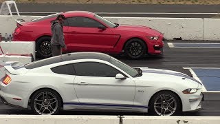2018 Mustang GT vs Shelby GT350 - 1/4 mile drag race