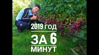 2019 год за 6 минут