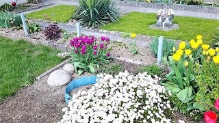 ДАЧА В ГЕРМАНИИ-АПРЕЛЬ-2019...DACHA IN GERMANY-APRIL-2019.