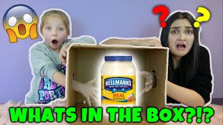 WHAT'S in the BOX CHALLENGE!! KAIA and SISSY! The TOYTASTIC Sisters. FUNNY KIDS SKIT!!