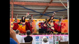ベリーダンス４　ハレムベリーダンスフィーバー  　コスモス祭