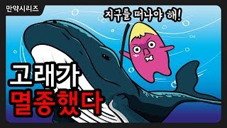 만약 고래가 멸종한다면 무슨 일이 일어날까?  I  고래 멸종은 이제는 현실입니다