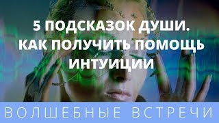 Наталья Волкова. 5 подсказок Души. Как получить помощь интуиции