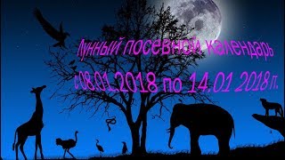 Лунный посевной календарь с 08.01.2018 года по 14.01.2018 года.